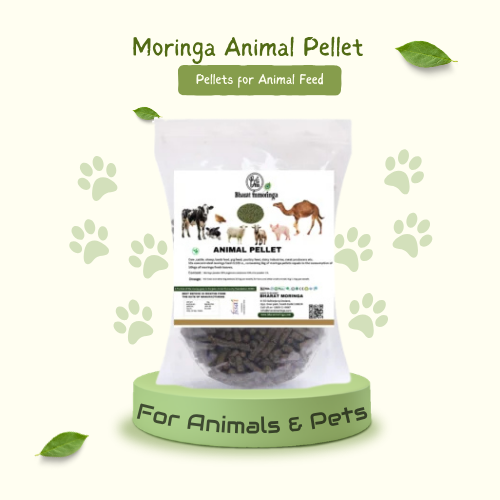 Moringa Animal Pellet