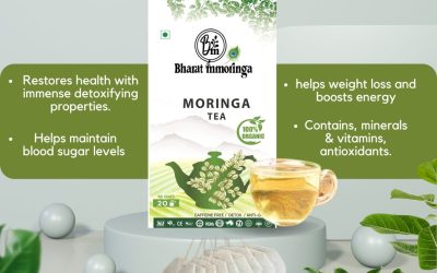 Benefits of the Popular Moringa Tea