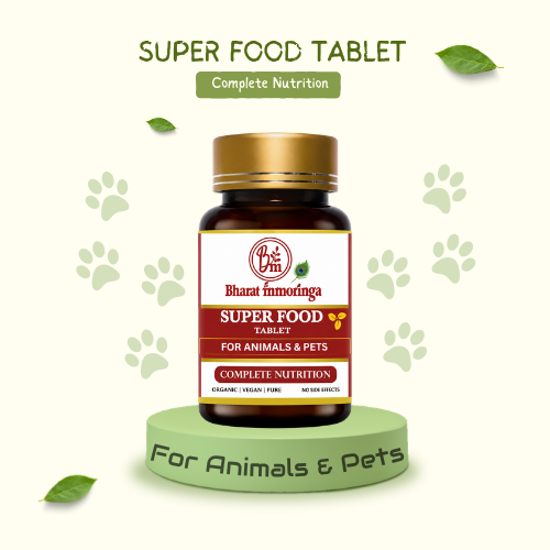 SUPER FOOD TABLET