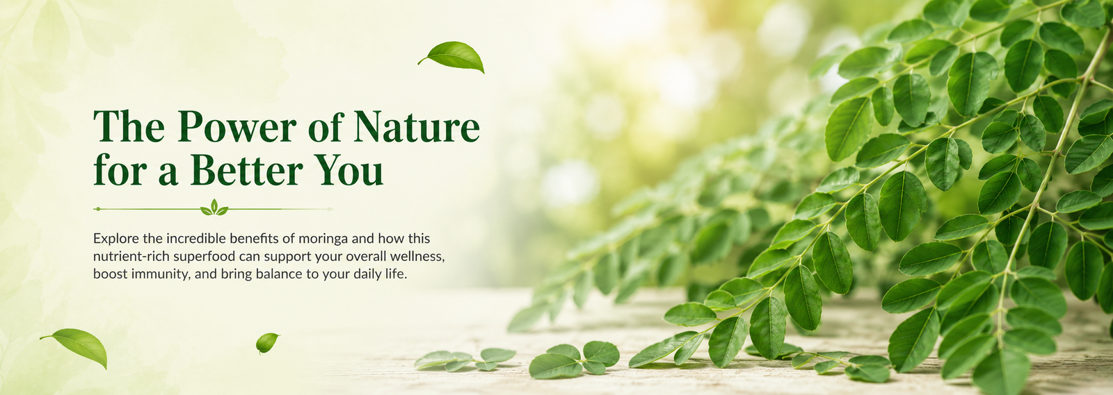 Bharat Moringa Medicine
